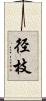 径枝 Scroll