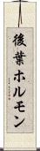 後葉ホルモン Scroll