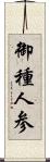 御種人参 Scroll