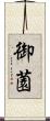 御薗 Scroll