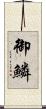 御鱗 Scroll