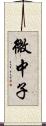 微中子 Scroll