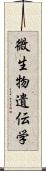 微生物遺伝学 Scroll