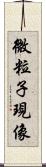 微粒子現像 Scroll