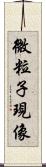 微粒子現像 Scroll