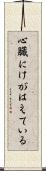 心臓にけがはえている Scroll