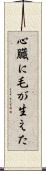 心臓に毛が生えた Scroll