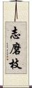 志磨枝 Scroll