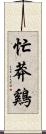 忙莽鷄 Scroll