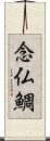 念仏鯛 Scroll
