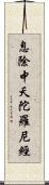 息除中夭陀羅尼經 Scroll