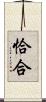 恰合 Scroll
