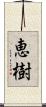 恵樹 Scroll