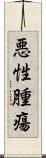 悪性腫瘍 Scroll