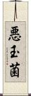 悪玉菌 Scroll