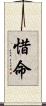 惜命 Scroll
