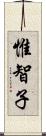 惟智子 Scroll