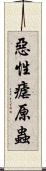 惡性瘧原蟲 Scroll