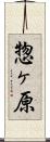 惣ヶ原 Scroll