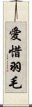 愛惜羽毛 Scroll