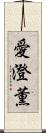 愛澄薫 Scroll