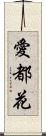愛都花 Scroll