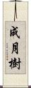 成月樹 Scroll