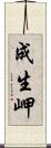 成生岬 Scroll