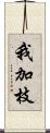 我加枝 Scroll