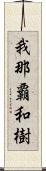 我那覇和樹 Scroll