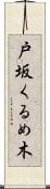 戸坂くるめ木 Scroll
