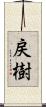 戻樹 Scroll