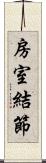 房室結節 Scroll