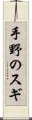 手野のスギ Scroll