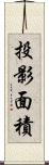 投影面積 Scroll