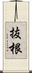 抜根 Scroll