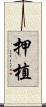 押植 Scroll