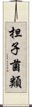 担子菌類 Scroll