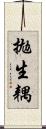 拋生耦 Scroll