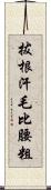 拔根汗毛比腰粗 Scroll