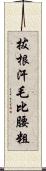 拔根汗毛比腰粗 Scroll