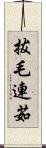 拔毛連茹 Scroll