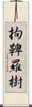 拘鞞羅樹 Scroll