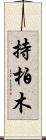 持柏木 Scroll
