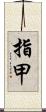 指甲 Scroll