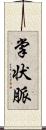 掌状脈 Scroll