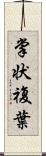 掌状複葉 Scroll