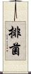 排菌 Scroll