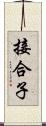 接合子 Scroll