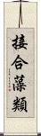 接合藻類 Scroll